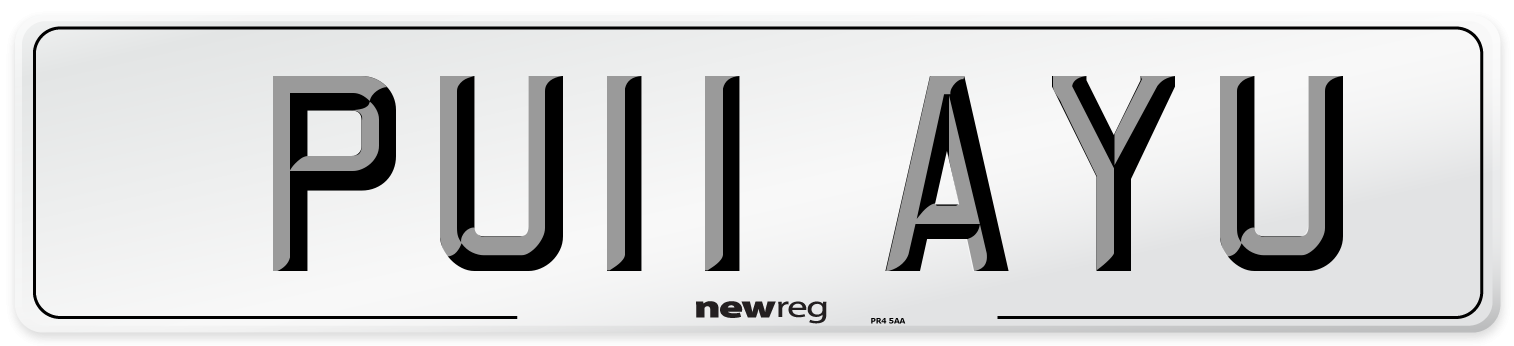 PU11 AYU Number Plate from New Reg